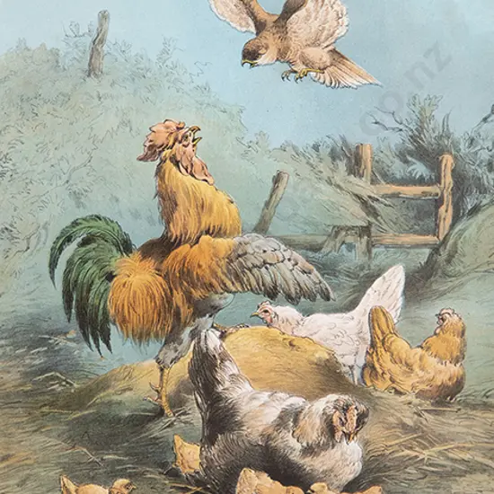 Four Sporting Prints