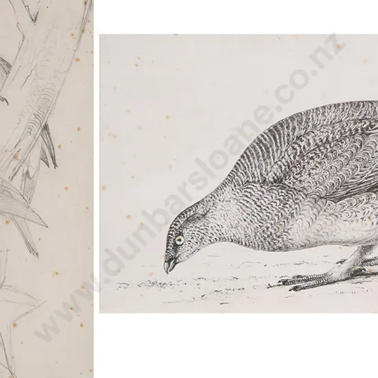 William Swainson pencil sketch & other book plate