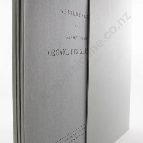 Samuel Thomas Sommering - Abbildungen Der Menschlichen Organe Der Geruchs