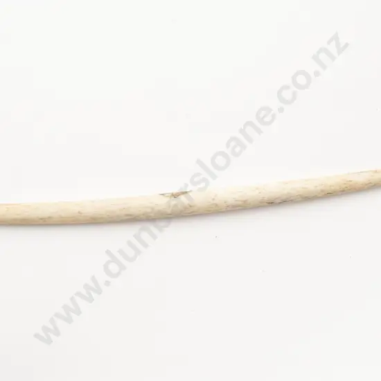 C19th or earlier Bone Ngira (needle)