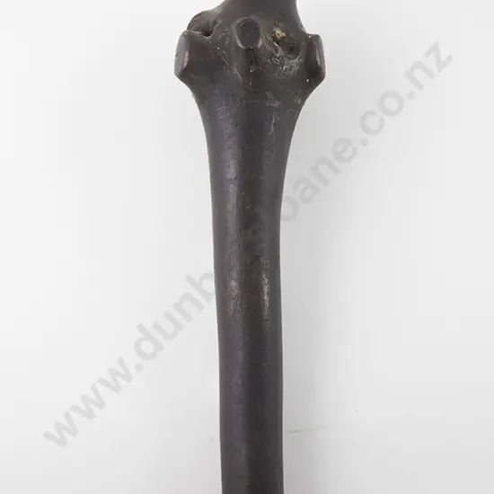 Fijian Rootstock Club