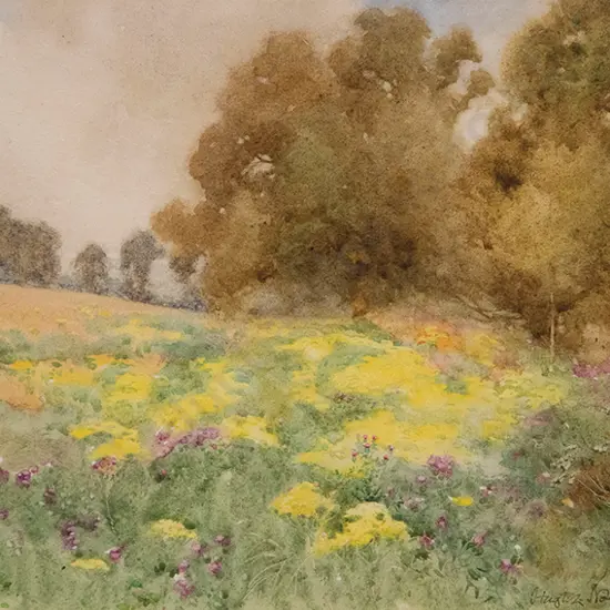 Hugh L Norris - Ragwort & Thistles