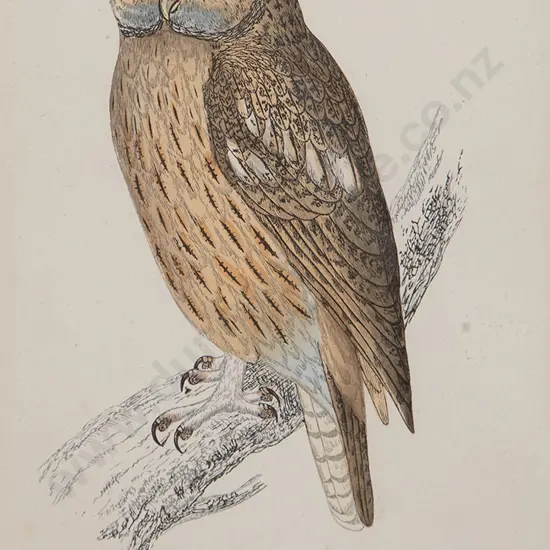 C19th Hand Coloured Bookplate