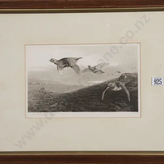 Archibald Thorburn - Grouse in Flight