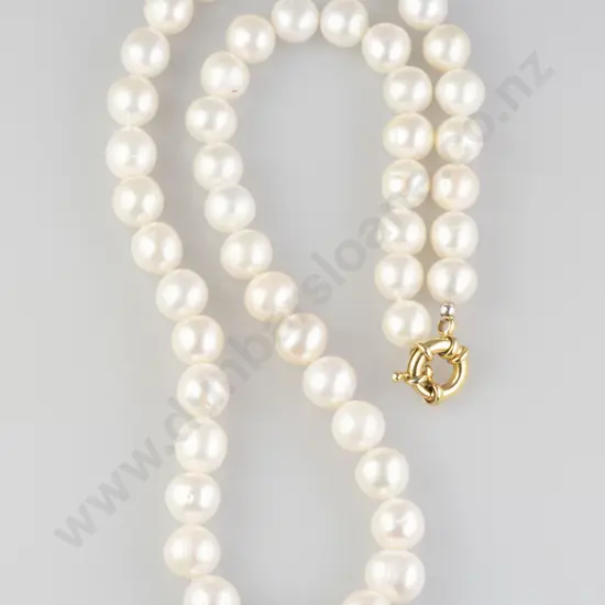 Single Strand Pearl Necklace
