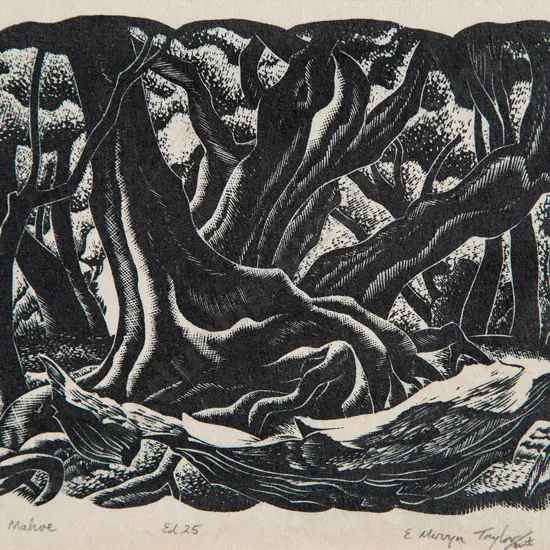 E Mervyn Taylor - Mahoe