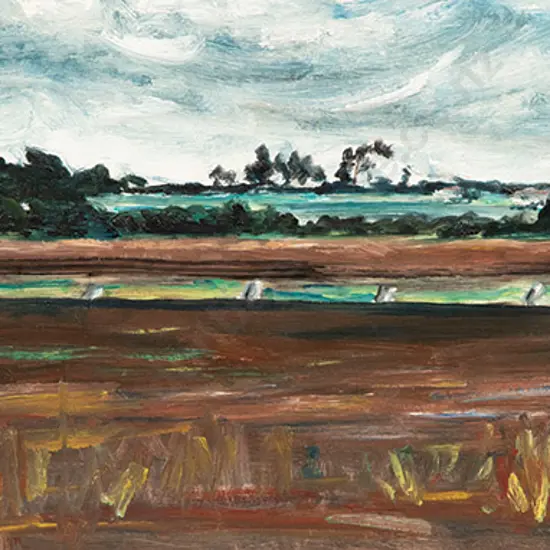 Sam Cairncross - Landscape near Auckland