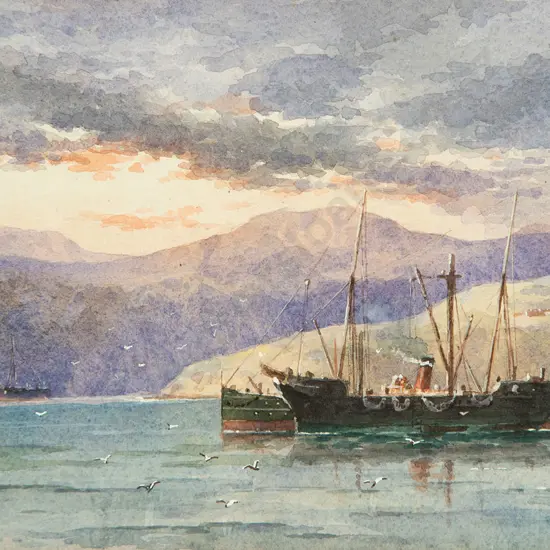 Henry Mount Langton Atcherley - In Wellington NZ