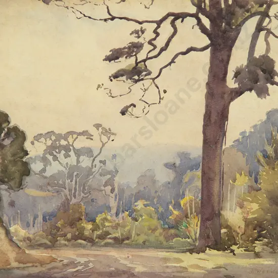 John Weeks - Bush Road (Titirangi)