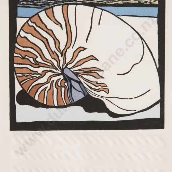 Robin White - Nautilus