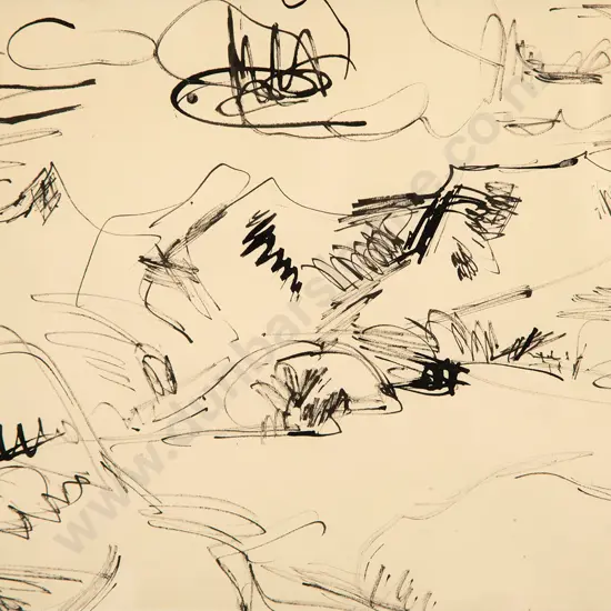 Toss Woollaston - Takaka