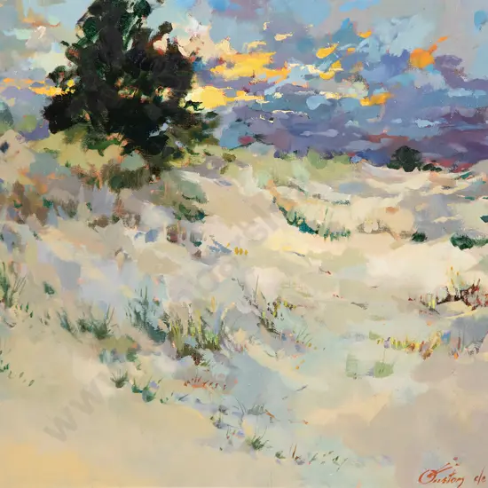 Gaston de Vel - Dunes Mt Maunganui