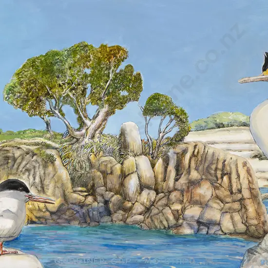 Russell Jackson - Gardiner Gap Motutapu