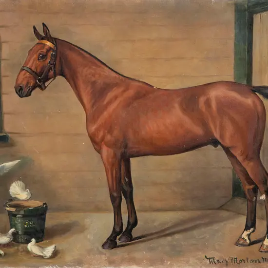 Mary Morton Masters - The "Joker" Polo