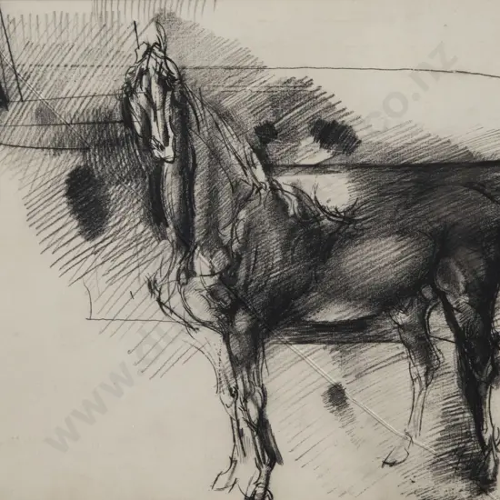 Michael Nicholson - Study of Horse