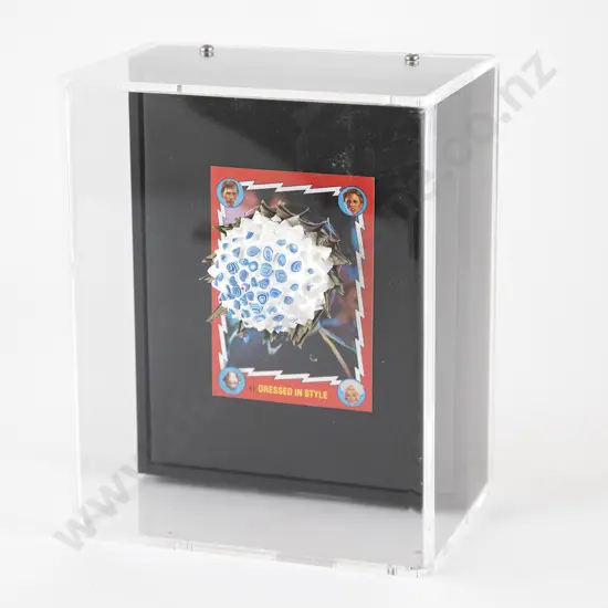 Rohan Wealleans - Style