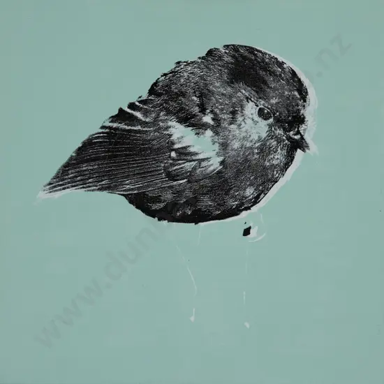 Rudolf Boelee - Chatham Island Black Robin
