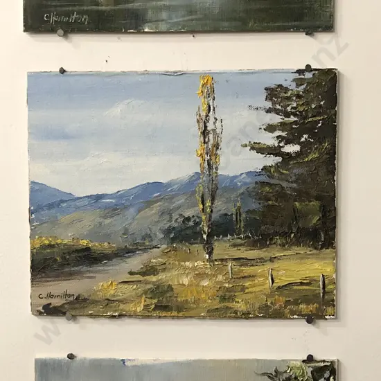 Colleen Hamilton - Three Unframed Oil Landscape Sketches