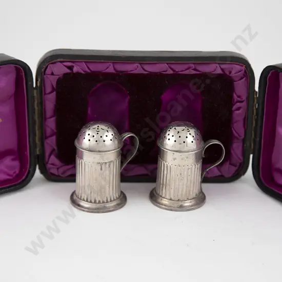 Cased Pair S/S Pepperettes