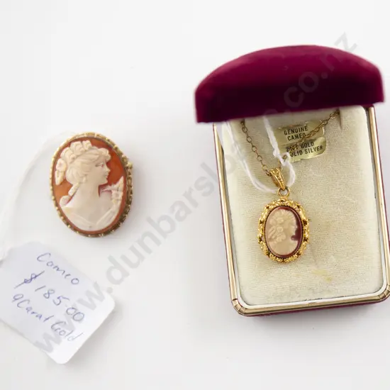 9ct Framed Cameo Brooch