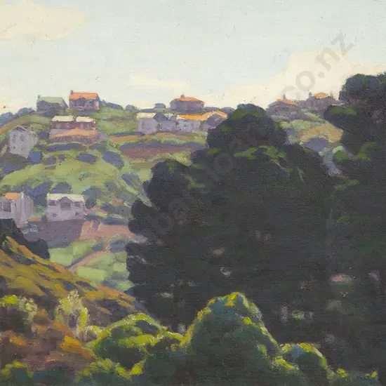 Marcus King - Landscape Wellington