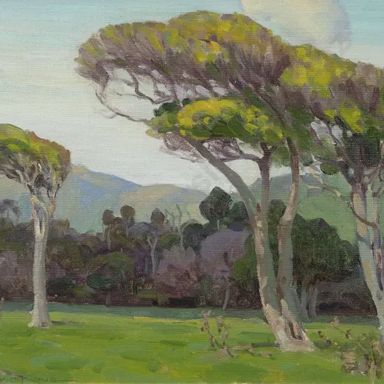 Marcus King - Bush Clearing Waikanae