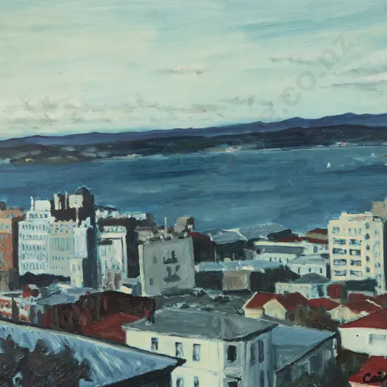Sam Cairncross - View of Wellington Harbour