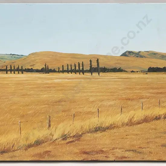 Justin Borough - Hawkes Bay Landscape