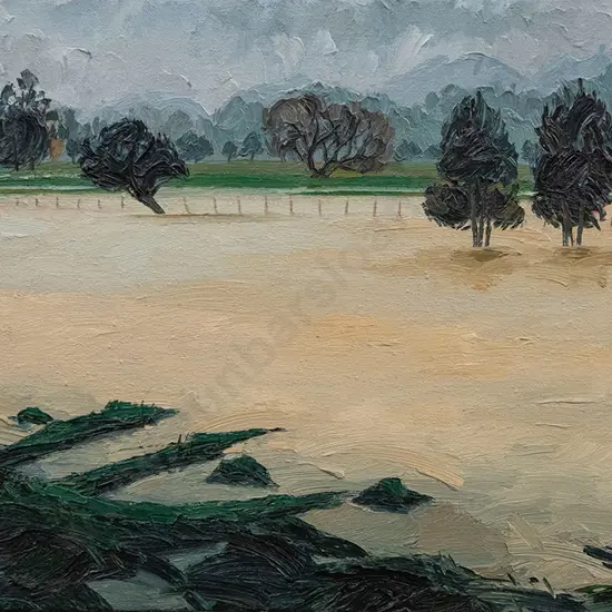 Ruth Cole (b 1961) - Flooded Out