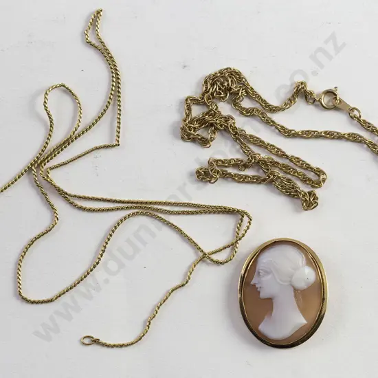 18ct Framed Portrait Cameo Brooch/Pendant