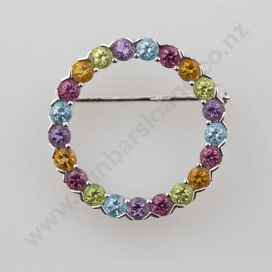 9ct 21stone Multi-Gem Set Circlet Brooch