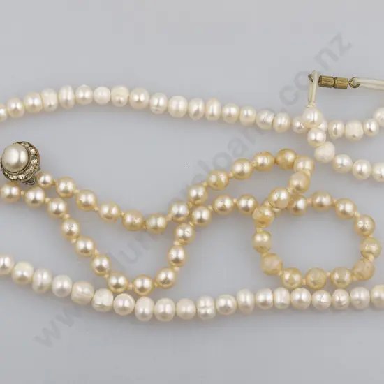 Single Strand Uniform Freshwater Pearl Necklace