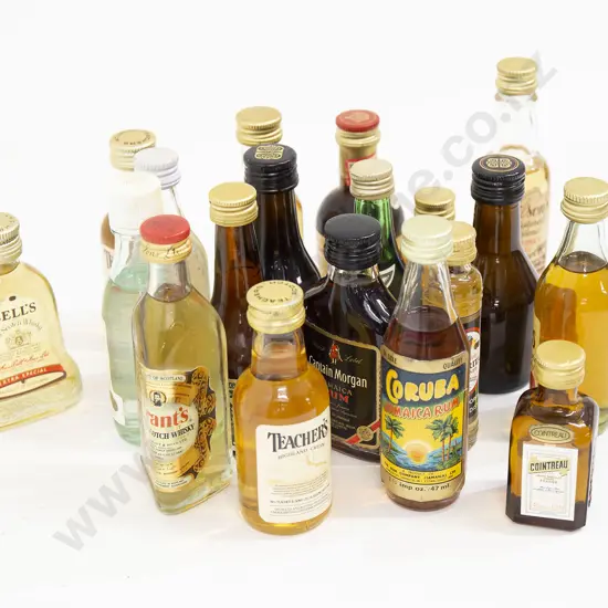 Qty of Assorted Alcoholic Miniatures (19)
