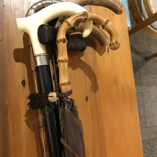 Six Walking Sticks incl Silver Mounted Example and Vintage Umbrella