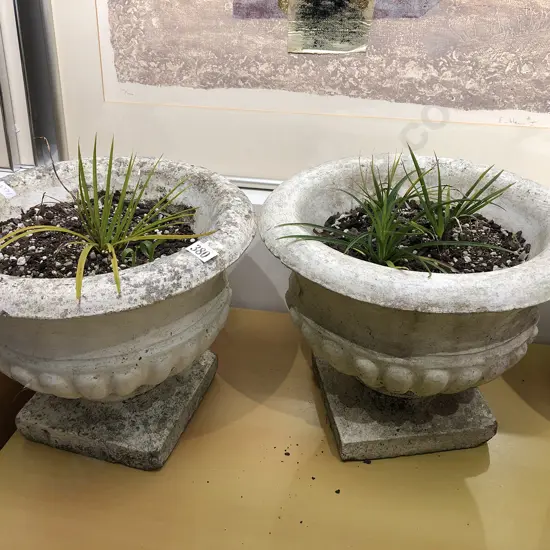 Pair of Concrete Planters