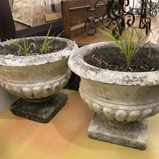Pair of Concrete Planters
