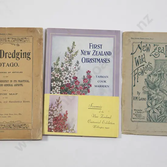 (-) Gold Dredging In Otago