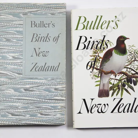 Bullers Birds Of New Zealand