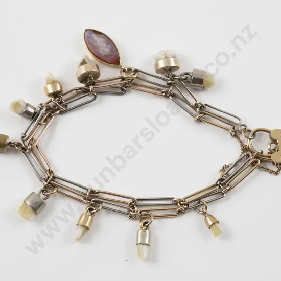 9ct Yellow & White Gold Double Rail Link Bracelet