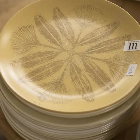 Qty of NZ Retro Dinner Plates