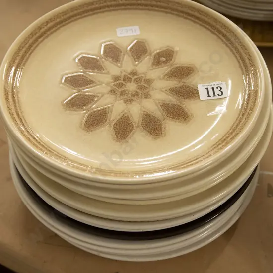 Qty of NZ Retro Dinner Plates
