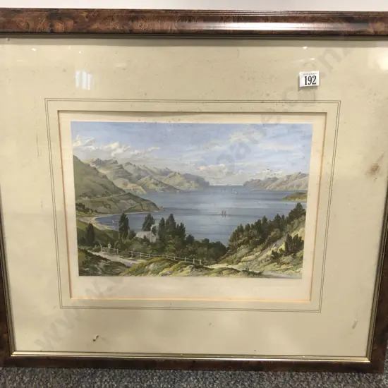 Five NZ Lithographs After C D Barraud