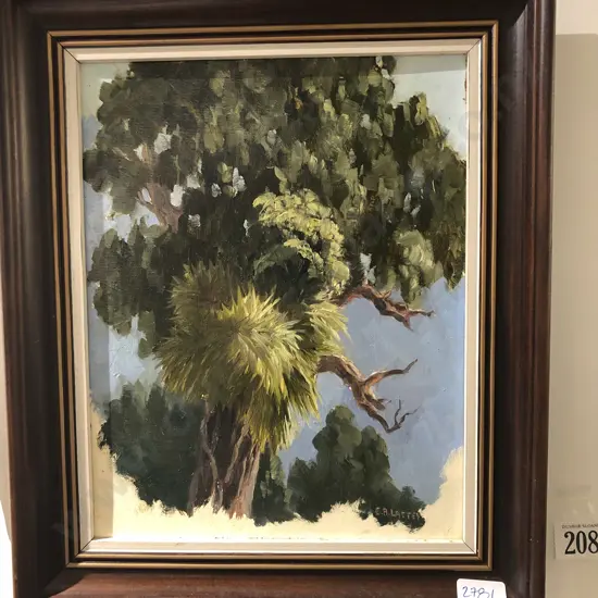 E B Lattey - Old Rimu - Oil