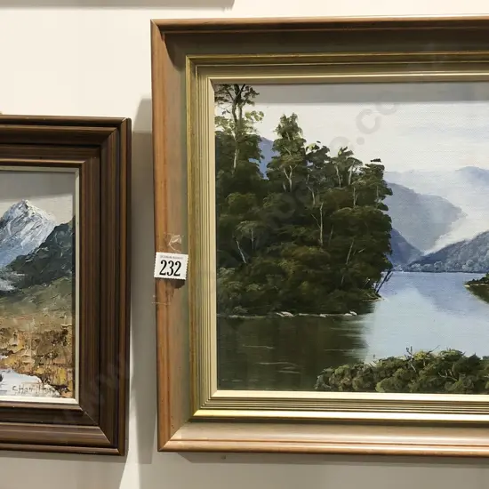 Martha Laurie " Lake Moeraki " Oil Landscape together with Other (2)