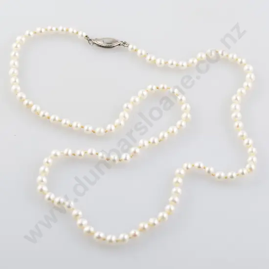 Single Strand Uniform Cultured Pearl Necklace