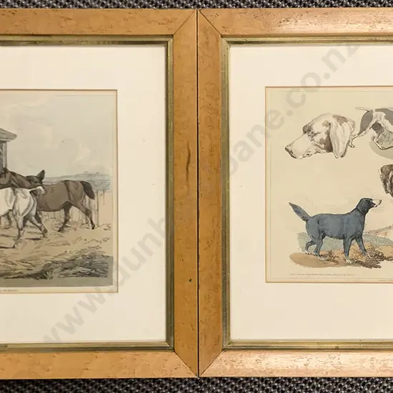 Pair Regency Maple Framed Prints