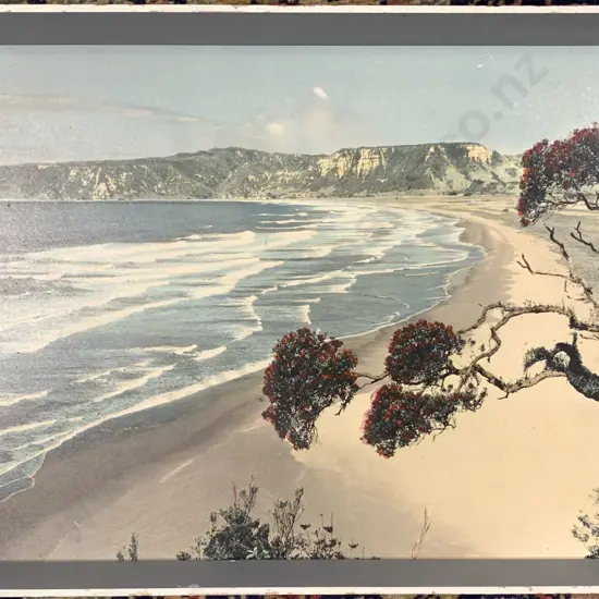 Small Whites Aviation Te Araroa Hand Colored Photograph