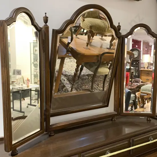 Beveled Edge Toilet Swing Mirror