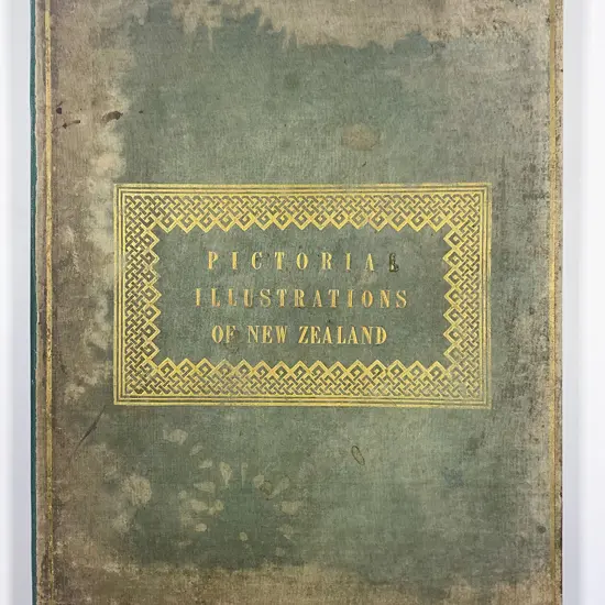 Brees Samuel Charles - Pictorial Illustrations Of New Zealand