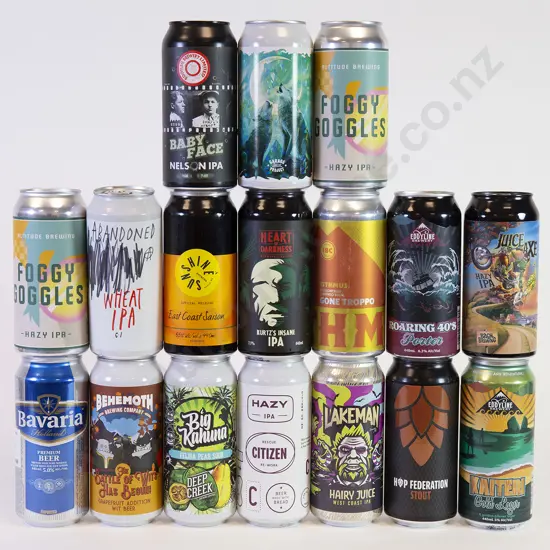 24 500ml Assorted Beer Cans
